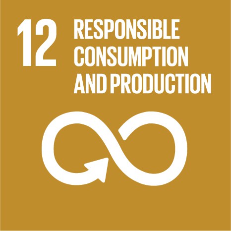 12. Responsible Consumption and Production
